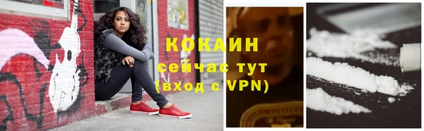 прущие крисы Балахна