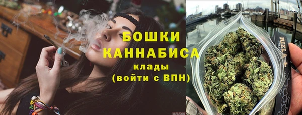PSILOCYBIN Балабаново