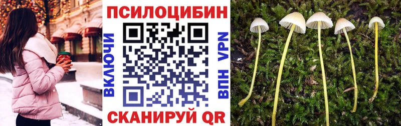 Псилоцибиновые грибы ЛСД Черногорск