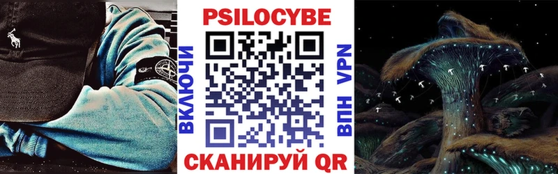 МЕГА ссылка  Черногорск  Галлюциногенные грибы ЛСД 
